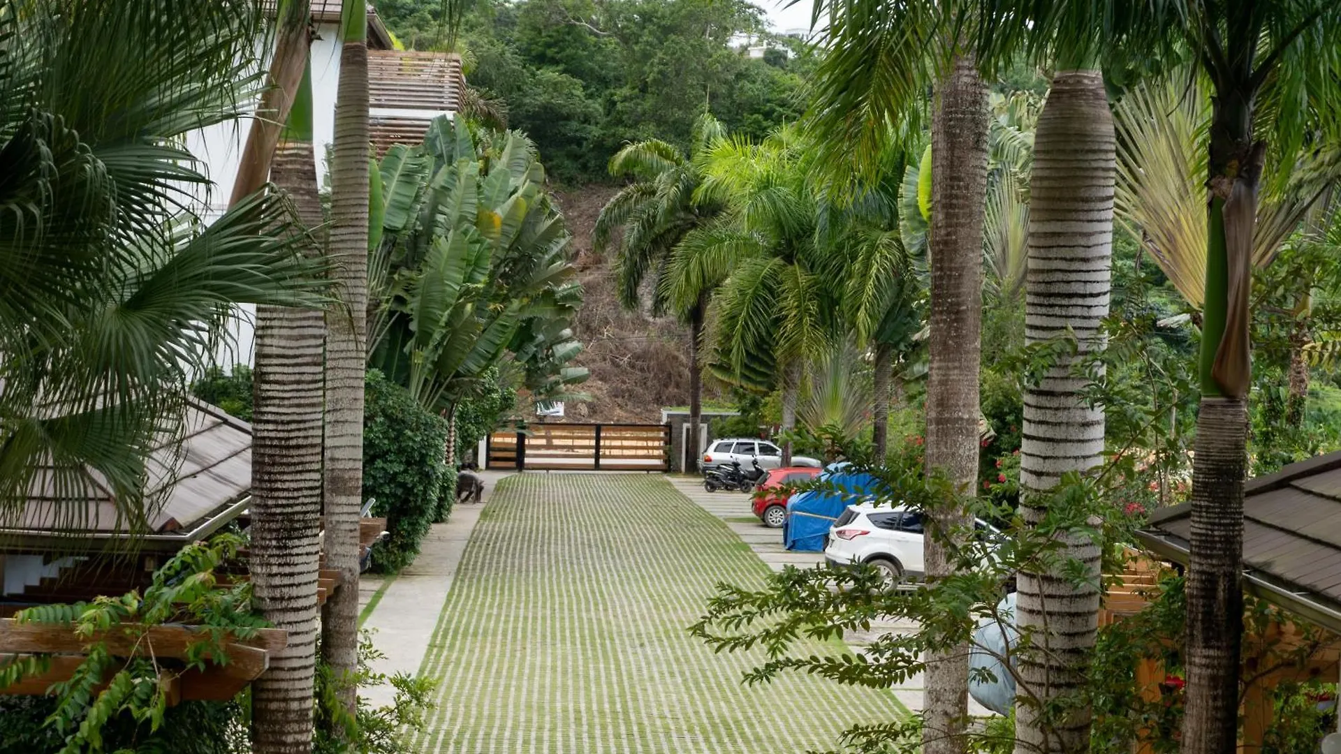 Departamento En Las Terrenas A Pie De Playa Lägenhet